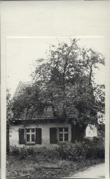 dom, skan 3