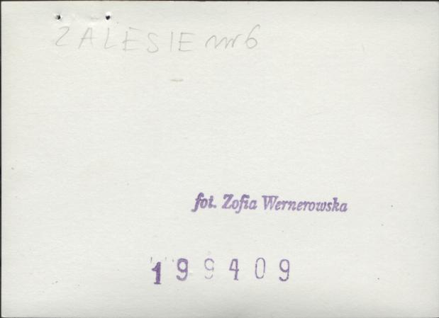czworak, skan 3