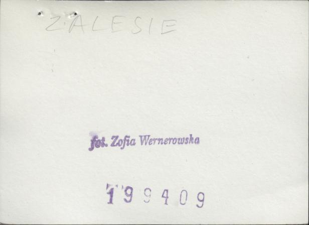 stajnia, ob. nieużytk., skan 3