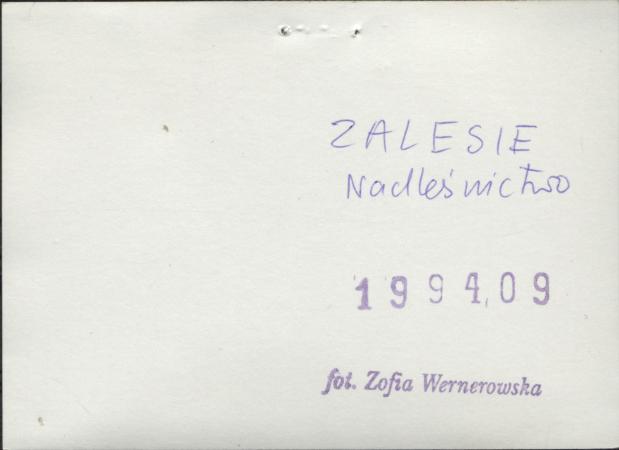 leśniczówka, skan 3