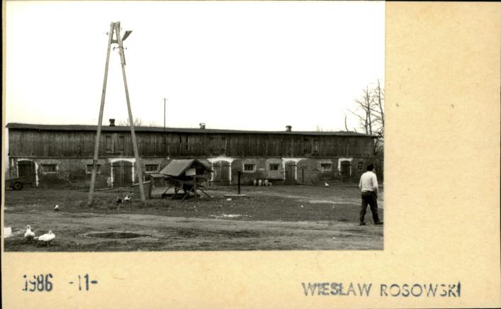 cielętnik, skan 2