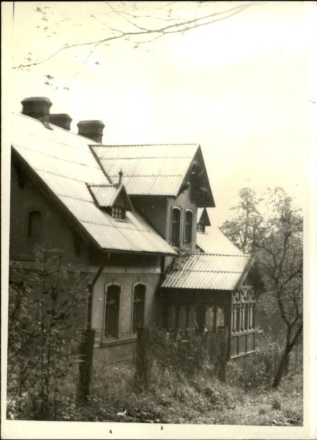 dom, skan 3
