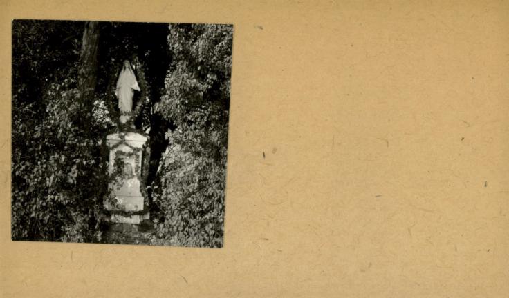 figura M. B., skan 2