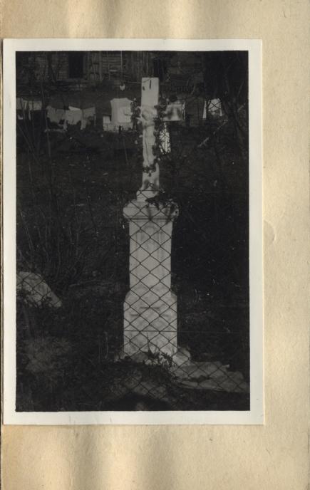 figura, skan 2