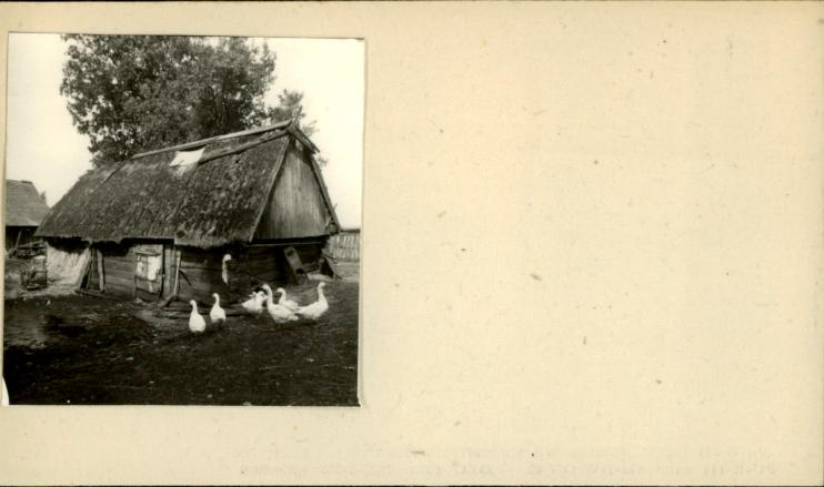 obora, skan 2