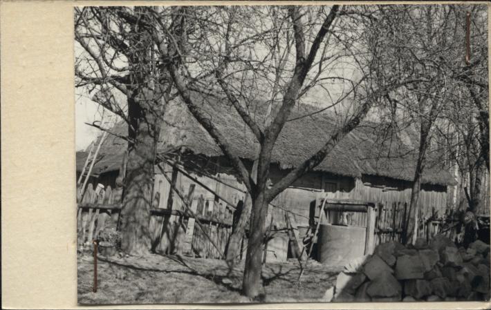 obora, skan 2