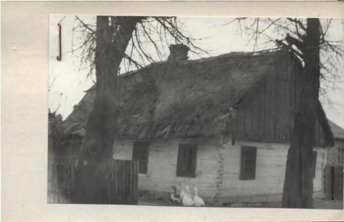 dom, skan 2