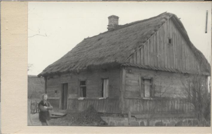 dom, skan 2