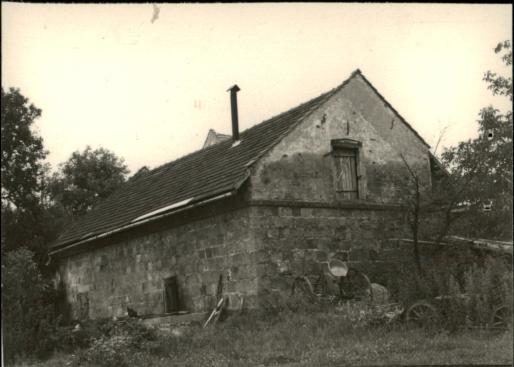 stajnia, skan 3