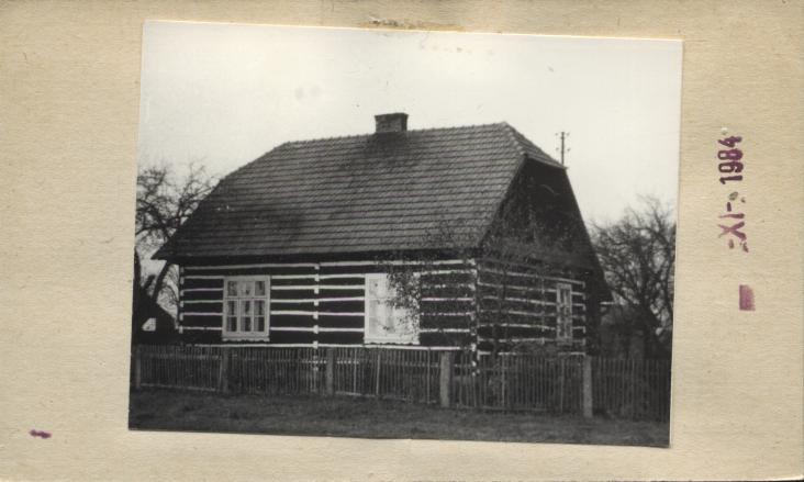 dom, skan 2