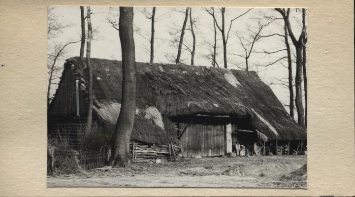 stodoła, skan 2