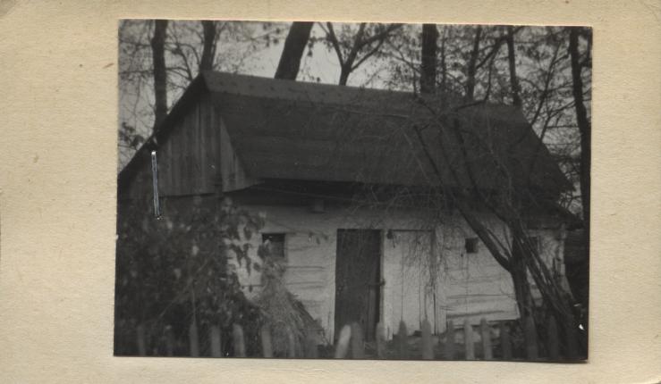 stajnia, skan 2