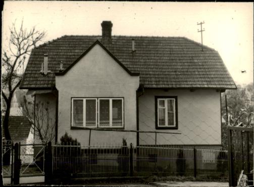 dom, skan 3