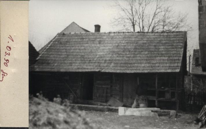 stajnia, skan 2