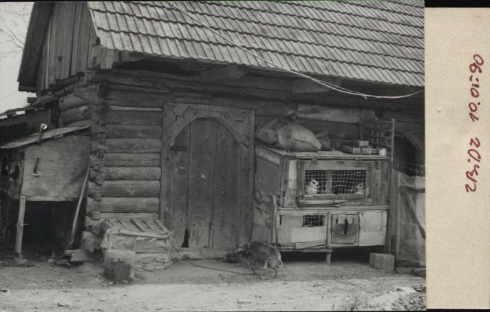obórka, skan 2