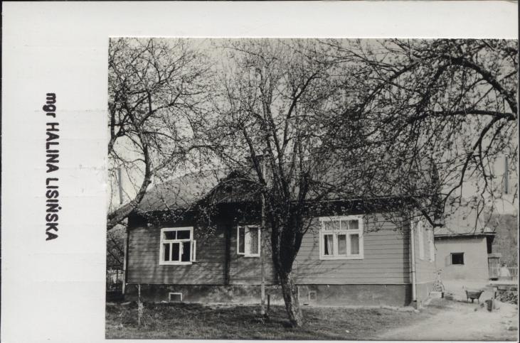 dom, skan 2