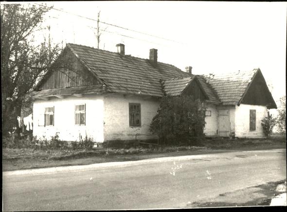 dom, skan 3