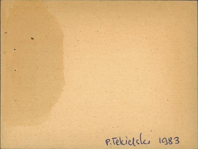 willa Bogumiła, skan 2
