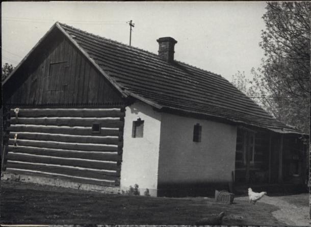 dom, skan 4