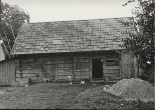 stajnia, skan 3