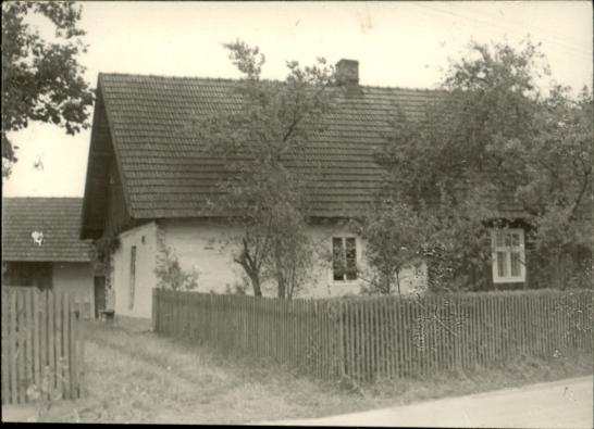 dom, skan 3
