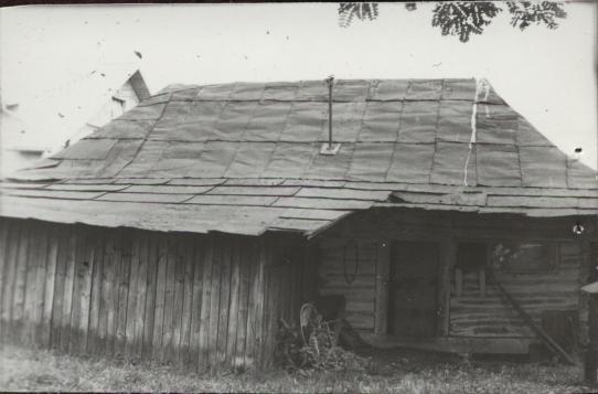 stajnia, skan 3
