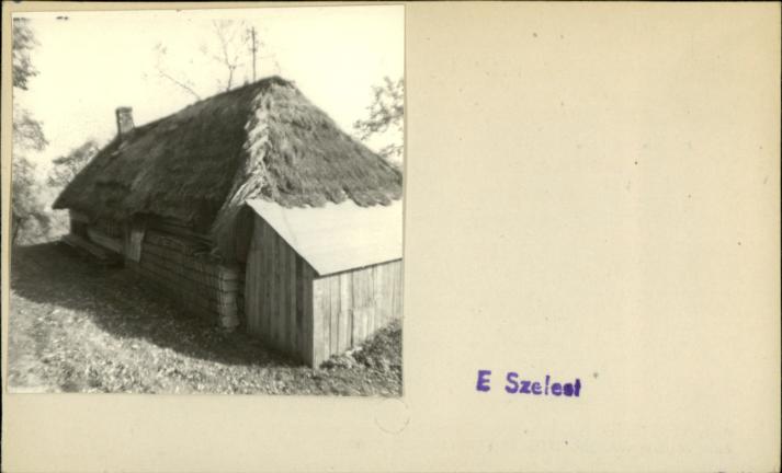 wikarówka, skan 2