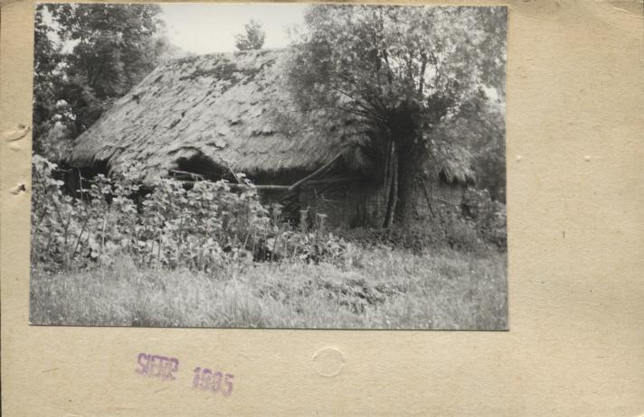 stodoła, skan 2