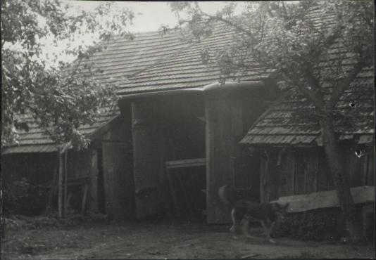 stodoła, skan 3