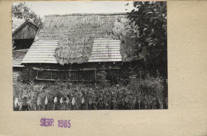 szopa, skan 2