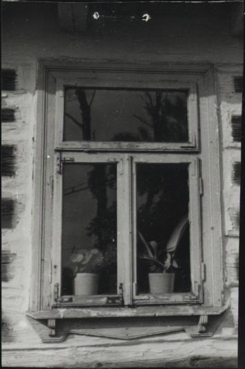 chałupa, skan 3