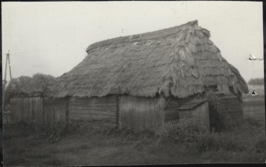 stodoła w zagrodzie, skan 3