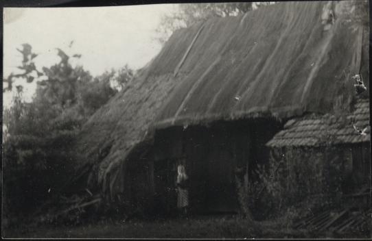 stodoła w zagrodzie, skan 3