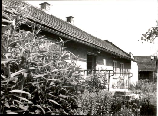 dom, skan 2