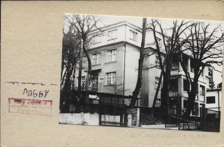 willa, szpital alergologiczny, skan 2