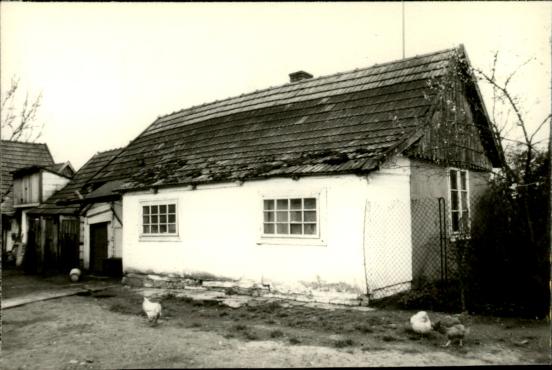 dom, skan 2