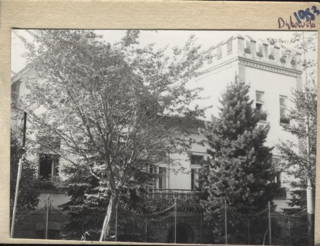 willa, skan 3