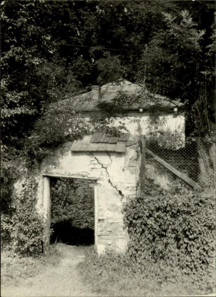 bramka, skan 3