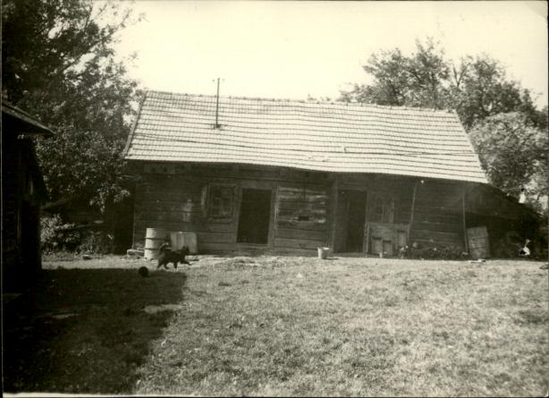 obora, skan 3