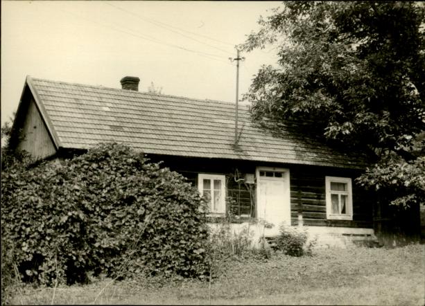 dom, skan 3