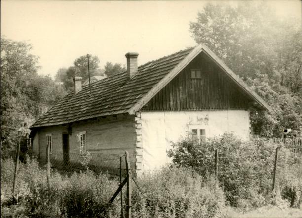 dom, skan 3