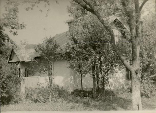 dom, skan 3