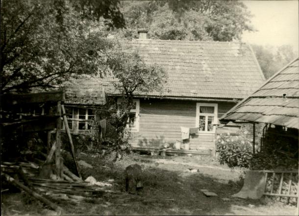 dom, skan 3