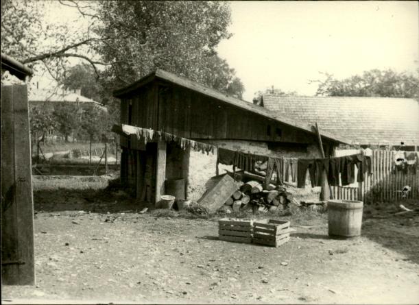 piwnica, skan 3