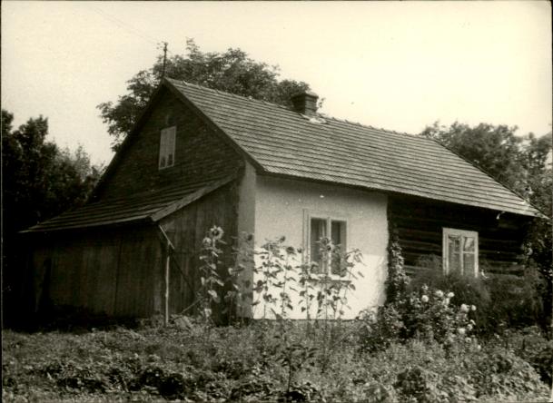 dom, skan 3