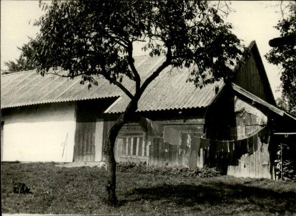 dom, skan 3