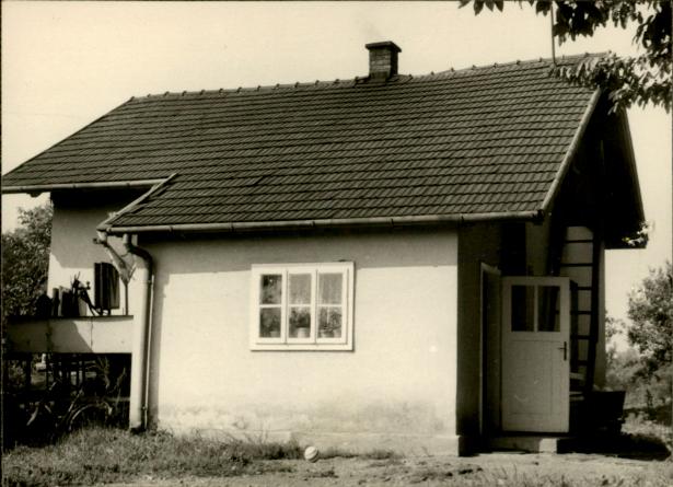 dom, skan 3