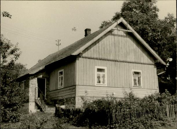 dom, skan 3