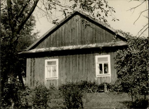 dom, skan 3