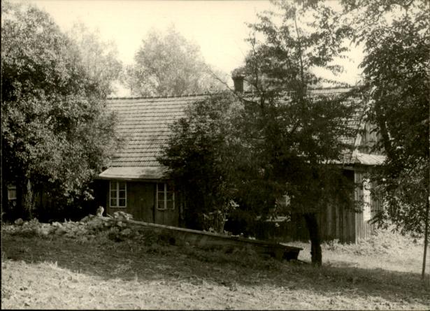 dom, skan 4